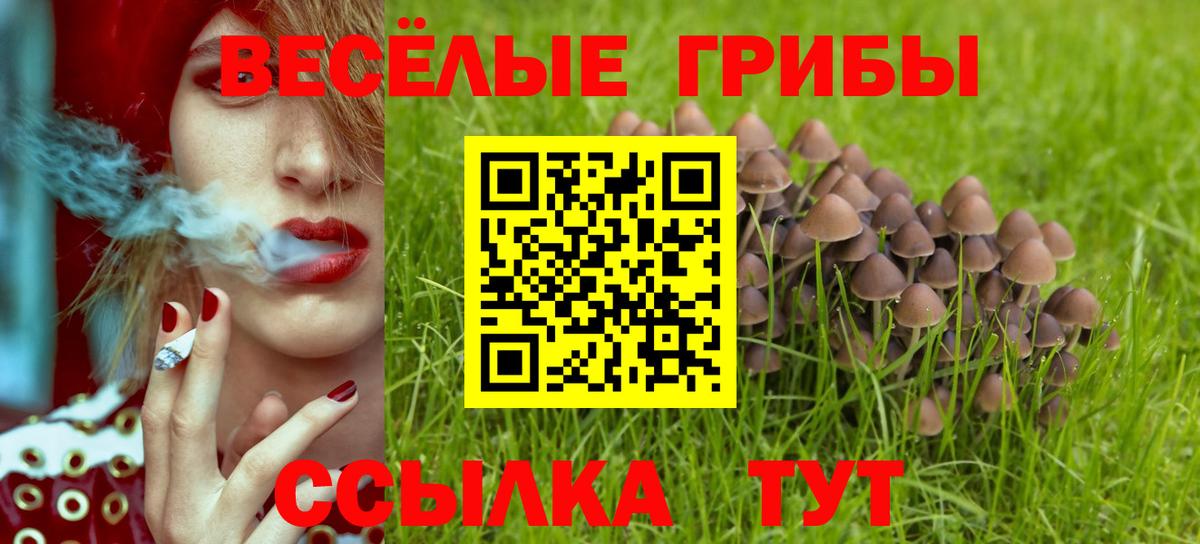 Советская Гавань  Псилоцибиновые грибы Psilocybe  Вход с VPN 